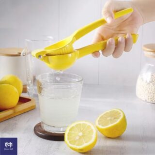 home manual lemon squeezer